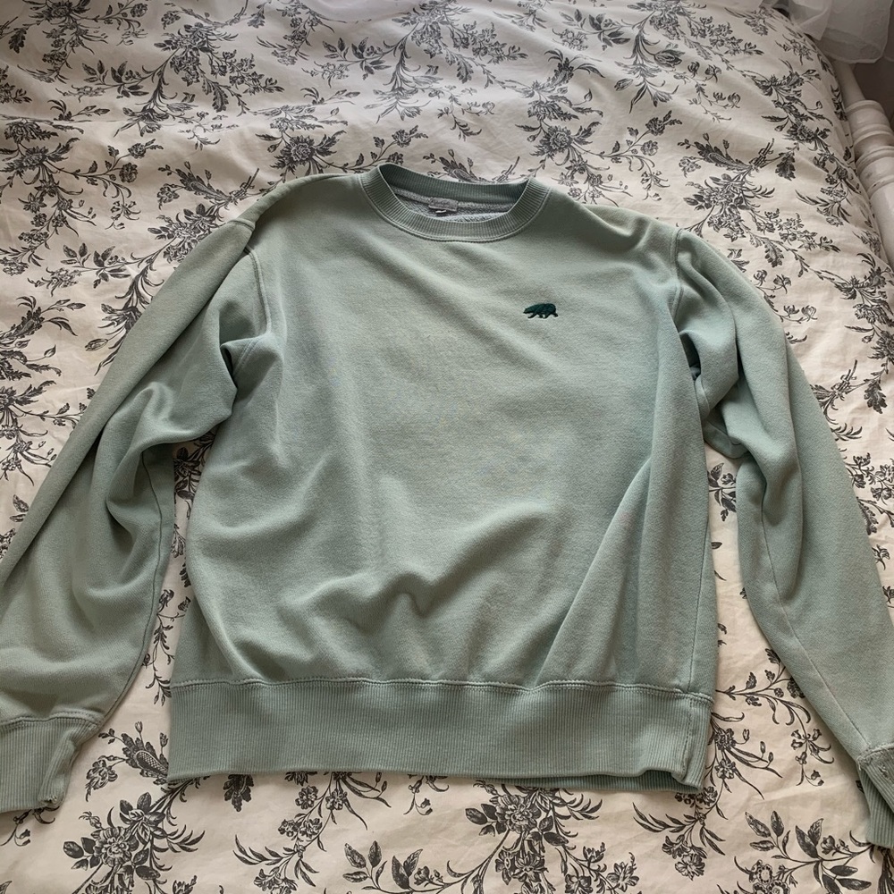 Brandy Melville green crew neck sweatshirt